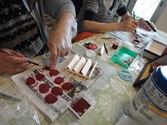 DSC04918.jpg